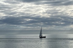 10. Op de Oosterschelde september 2024, op de Bruinvissendag