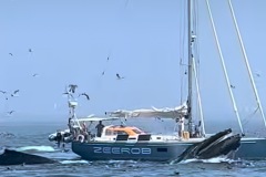 30. Bultruggen op Cape Cod