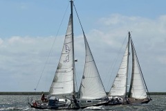 2. Belle B en Saga tijden de Flevo Breehorn Cup in Lelystad