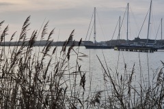 foto-10-Op-de-Markerwadden-