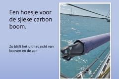 Een-hoesje-voor-de-sjieke-carbon-boom